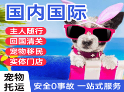 济宁大安机场托运国际宠物托运 【国